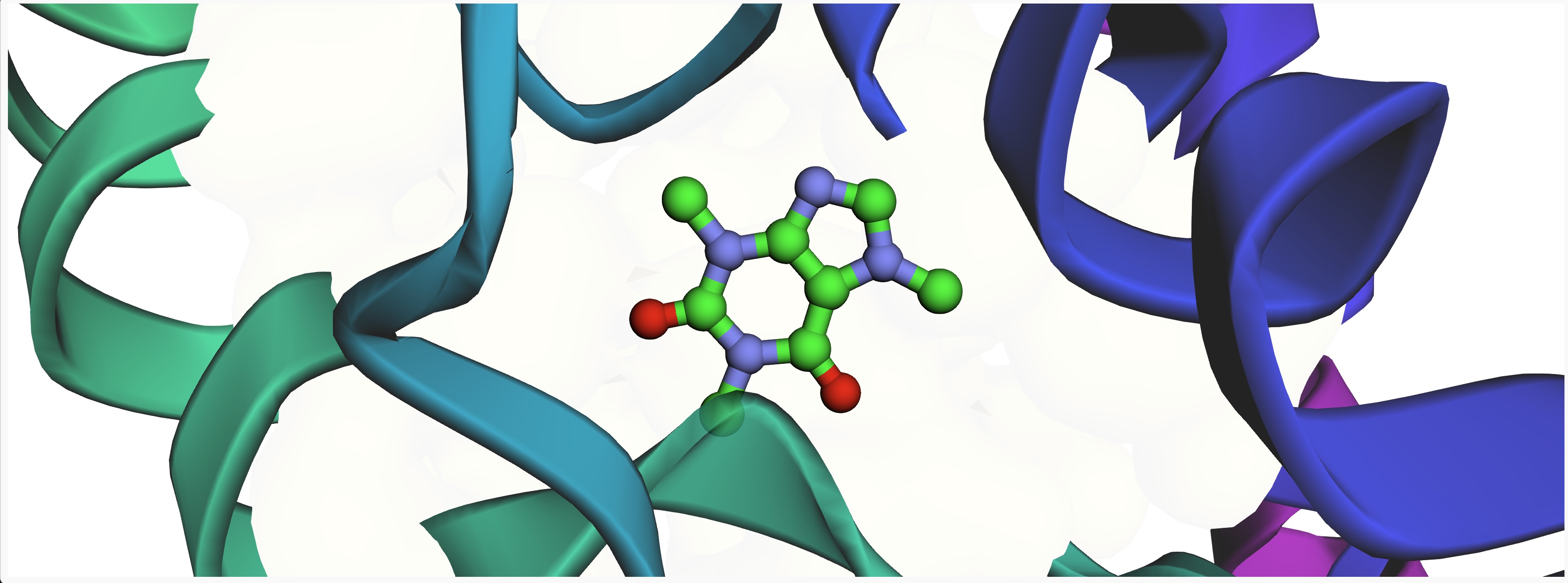 How caffeine works at the A2A receptor